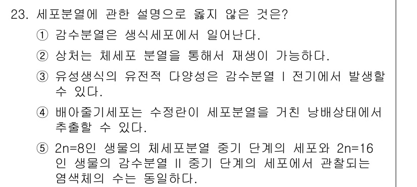 변리사_1차(3교시) 2017년 24번 - 문제에서 요구하는 것은 '세포분열'에 대한 설명으로 옳지 않은 내용을 찾... 에 관한 핵심 기출문제