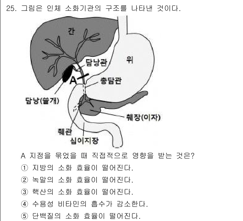 변리사_1차(3교시) 2017년 26번 - 정답 5번은 수용성 비타민의 흡수가 감소된다는 점에서 타당하다. 조절기구... 에 관한 핵심 기출문제
