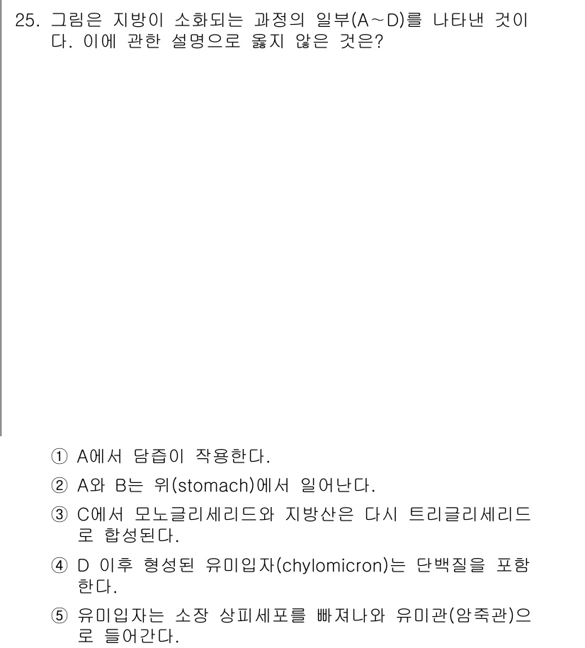변리사_1차(3교시) 2018년 25번 - 정답 2번은 소화 과정에서 A와 B의 역할이 부적절하게 설명되었기 때문입... 에 관한 핵심 기출문제