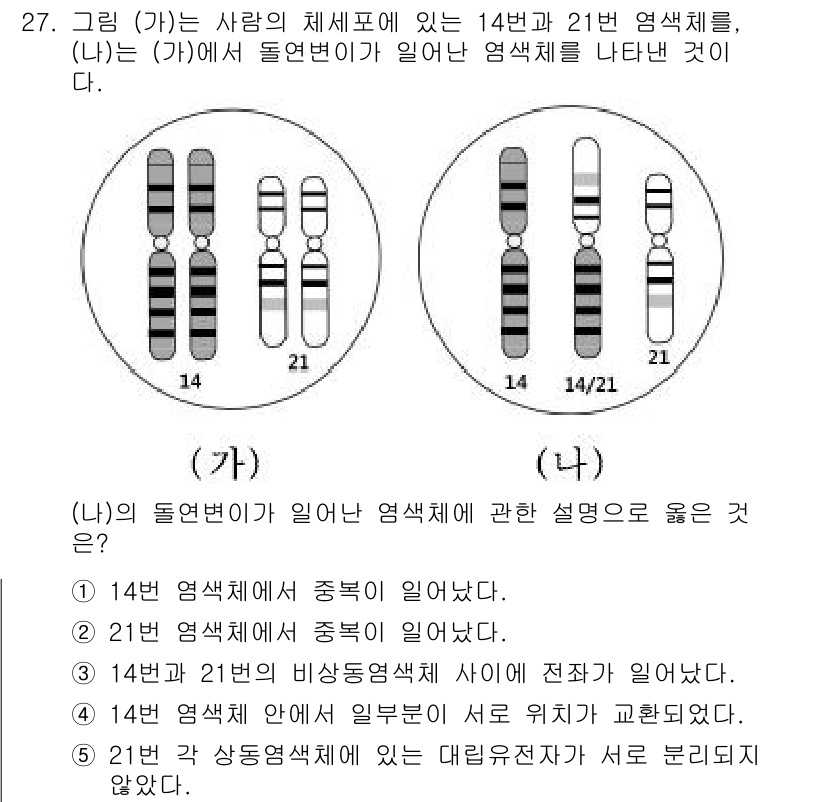 변리사_1차(3교시) 2018년 27번 - (나)의 돌연변이가 14번과 21번 염색체에서 발생했을 때, 각 염색체의... 에 관한 핵심 기출문제