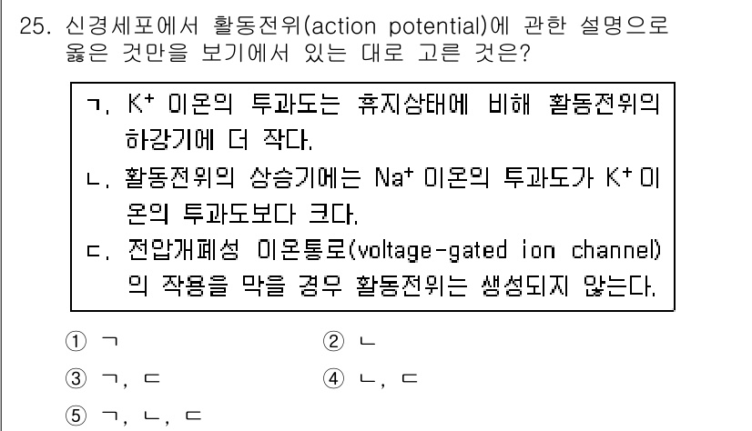 변리사_1차(3교시) 2019년 25번 - . 전압개폐 이온통로의 작용을 막을 경우 활동전위가 생성되지 않는다. 
... 에 관한 핵심 기출문제