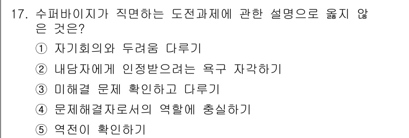 청소년상담사_1급(1교시) 2018년 17번 - 문제에서 제시된 선택지 중 '미래에 문제 확인하고 다루기'는 도전 과제에... 에 관한 핵심 기출문제