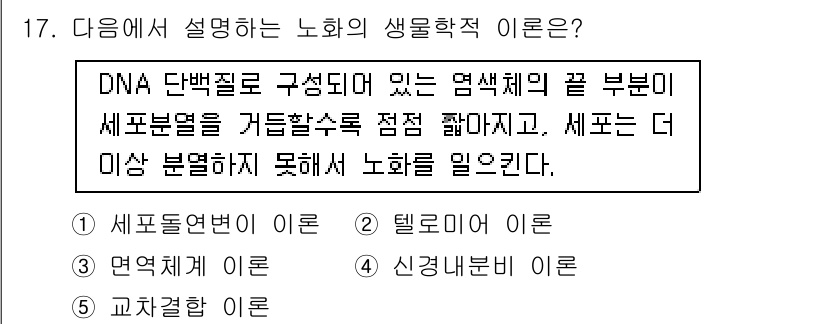 청소년상담사_3급(1교시) 2018년 17번 - 정답은 2번 "텔로미어이다." 텔로미어는 염색체의 끝부분에 위치하며, 세... 에 관한 핵심 기출문제