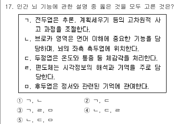 청소년상담사_3급(2교시) 2018년 17번 - 브로카 영역은 언어 이해 및 생성에 중요한 역할을 하며, 이를 다루는 기... 에 관한 핵심 기출문제