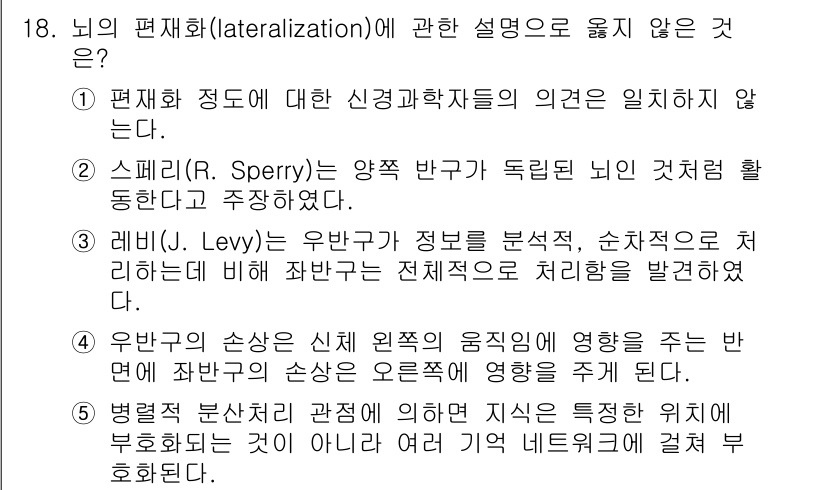 청소년상담사_3급(2교시) 2019년 18번 - 레비의 연구는 우반구가 수행하는 기능과 관련하여 정보 처리 방식을 다루지... 에 관한 핵심 기출문제