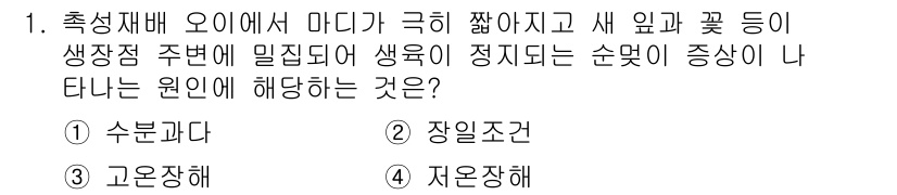 원예기능사 2015년 1번 - . 자온장해  
자온장해는 고온으로 인한 식물의 생리적 스트레스를 의미하... 에 관한 핵심 기출문제