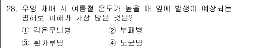 원예기능사 2015년 28번 - 정답은 3번, 흑기루병입니다. 여름철 높은 온도에서 흑기루병의 발생이 증... 에 관한 핵심 기출문제