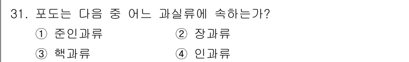 원예기능사 2015년 31번 - 포도는 장과류에 속합니다. 장과류는 과육이 많고 종자가 들어 있는 과일로... 에 관한 핵심 기출문제