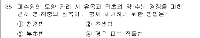 원예기능사 2015년 35번 - . 청경법  
청경법은 수목의 양분 경쟁을 줄이고 병해충을 효과적으로 예... 에 관한 핵심 기출문제