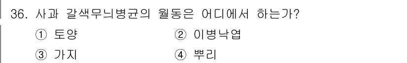 원예기능사 2015년 36번 - 정답은 2번, 이병냉엽입니다. 사과 갈색무늬병균은 주로 이 식물의 이병에... 에 관한 핵심 기출문제