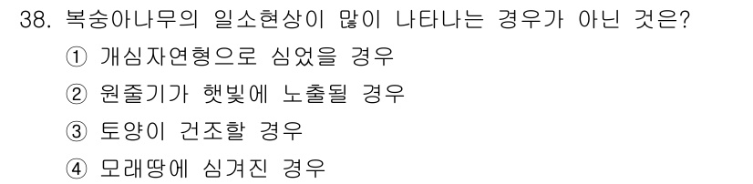 원예기능사 2015년 38번 - 개심자연형으로 심었을 경우, 복숭아 나무의 일소현상이 줄어들기 때문입니다... 에 관한 핵심 기출문제