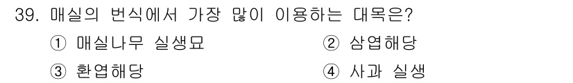 원예기능사 2015년 39번 - . 매실나무 실생묘는 매실의 번식에서 가장 일반적인 방법입니다. 이는 매... 에 관한 핵심 기출문제