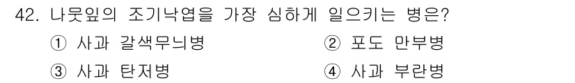 원예기능사 2015년 42번 - . 갈색무늬병은 나무의 조기 낙엽을 유발하는 주요 병으로, 주로 열대 및... 에 관한 핵심 기출문제