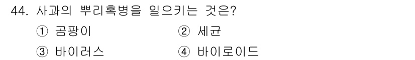 원예기능사 2015년 44번 - 정답은 2번, 세균입니다. 사과나무의 뿌리혹병은 주로 세균에 의해 발생하... 에 관한 핵심 기출문제