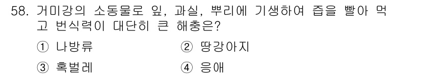 원예기능사 2015년 58번 - 정답은 4번 '응애'입니다. 응애는 미세한 해충으로, 식물의 잎과 줄기에... 에 관한 핵심 기출문제