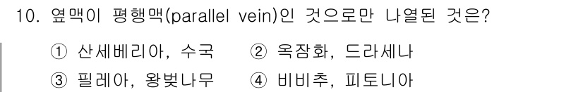 화훼장식기사 2016년 10번 - . 옥잠화, 드라세나

정의: 옥잠화와 드라세나는 평행맥 구조를 가진 식... 에 관한 핵심 기출문제