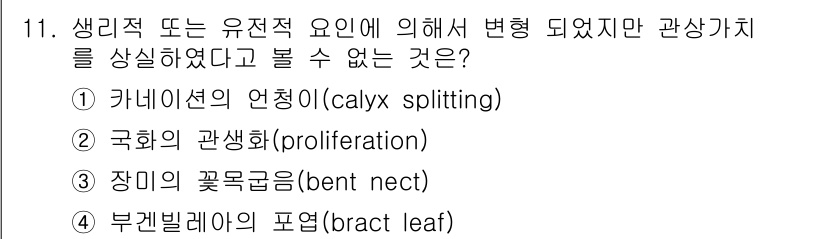 화훼장식기사 2016년 11번 - . 부전빌레아의 포엽(bract leaf)

부전빌레아의 포엽은 생리적 ... 에 관한 핵심 기출문제