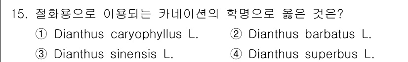 화훼장식기사 2016년 15번 - . **Dianthus caryophyllus L.**은 카네이션의 학명... 에 관한 핵심 기출문제