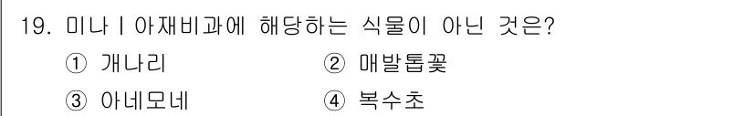 화훼장식기사 2016년 19번 - . 개나리  
개나리는 아재비과가 아닌 미나리아재비과에 속하기 때문에 미... 에 관한 핵심 기출문제