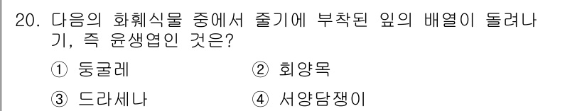 화훼장식기사 2016년 20번 - 정답은 3. 드라세나입니다. 드라세나는 부착된 잎이 위로 향하여 자라는 ... 에 관한 핵심 기출문제