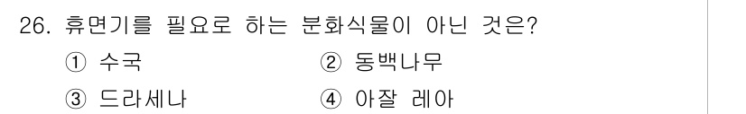 화훼장식기사 2016년 26번 - 정답은 3. 드라세나입니다. 드라세나는 휴면기를 필요로 하지 않는 관엽식... 에 관한 핵심 기출문제