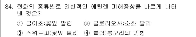 화훼장식기사 2016년 34번 - . 스위트피:꽃잎 탈리

스위트피는 꽃이 떨어지기 쉬운 특성을 가지고 있... 에 관한 핵심 기출문제