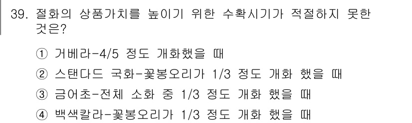 화훼장식기사 2016년 39번 - 정답은 ②번입니다. 스탠드 국화-꽃봉오리의 경우 1/3 정도 개화했을 때... 에 관한 핵심 기출문제