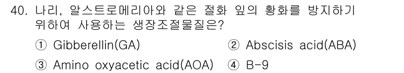 화훼장식기사 2016년 40번 - 해당 자격증의 핵심 개념을 묻는 객관식 문제