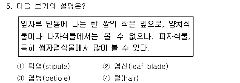 화훼장식기사 2016년 5번 - 정답은 1번 탁엽(stipule)입니다. 탁엽은 줄기와 잎의 기부에서 자... 에 관한 핵심 기출문제