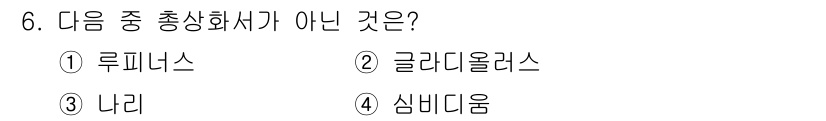 화훼장식기사 2016년 6번 - . 글라디올루스  
글라디올루스는 총상화서가 아닌 복합꽃차례에 해당하며,... 에 관한 핵심 기출문제