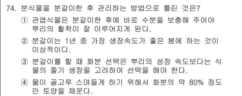 화훼장식기사 2016년 74번 - 분식물의 생장 속도가와 계절적 특성을 고려하여 적절한 시점에 선택해야 적... 에 관한 핵심 기출문제