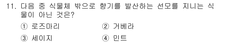 화훼장식기사 2017년 11번 - 정답은 2. 가베라입니다. 가베라는 일반적으로 향기를 발산하지 않는 식물... 에 관한 핵심 기출문제