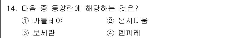 화훼장식기사 2017년 14번 - 정답은 3번 보세란입니다. 동양란에 해당하는 과목으로, 대표적인 품종 중... 에 관한 핵심 기출문제