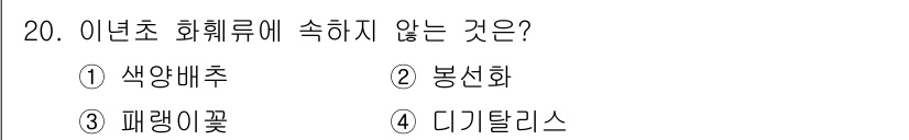 화훼장식기사 2017년 20번 - 정답은 2번 봉선화입니다. 봉선화는 주로 여름철에 자생하는 식물로, 이너... 에 관한 핵심 기출문제