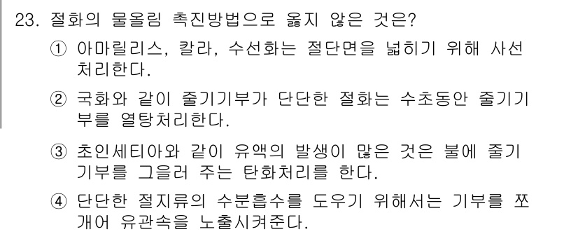 화훼장식기사 2017년 23번 - 문제에서 묻는 "절화의 물올림 촉진 방법으로 옮지 않는 것"은 "호인세타... 에 관한 핵심 기출문제