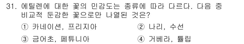 화훼장식기사 2017년 31번 - 정답은 4번 '가베라, 튤립'입니다. 에틸렌은 튤립과 가베라의 수명을 단... 에 관한 핵심 기출문제