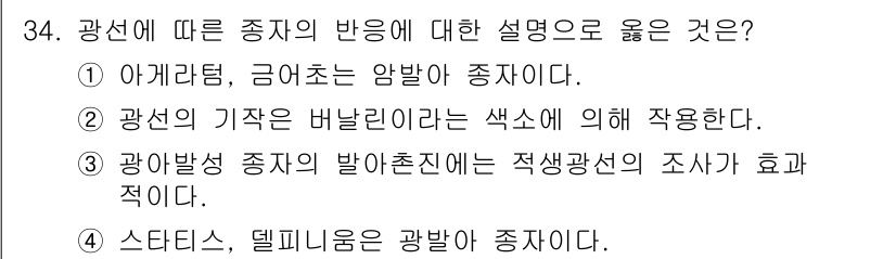 화훼장식기사 2017년 34번 - 광합성을 하는 식물에서 발아 시 적색광이 가장 효과적이라는 사실에 기초하... 에 관한 핵심 기출문제