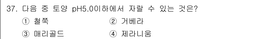 화훼장식기사 2017년 37번 - 해당 자격증의 핵심 개념을 묻는 객관식 문제
