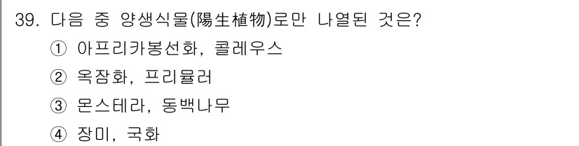화훼장식기사 2017년 39번 - 국화는 양생식물로, 일본과 중국에서 많이 재배됩니다. 반면, 나머지 선택... 에 관한 핵심 기출문제