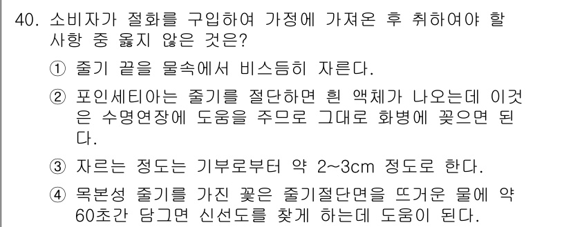 화훼장식기사 2017년 40번 - .  
정답인 이유: 소비자가 절취한 줄기 끝을 물에 담그면 비타민이 빠... 에 관한 핵심 기출문제