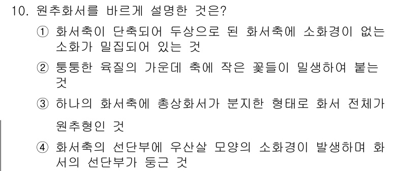 화훼장식기사 2018년 10번 - . 

원추화서의 정의는 중앙 축을 따라 꽃이 나선형으로 배열되는 형태로... 에 관한 핵심 기출문제