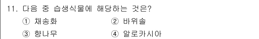 화훼장식기사 2018년 11번 - 정답은 4번 알레르시아입니다.  
알레르기 반응은 식물의 꽃가루나 잎에서... 에 관한 핵심 기출문제
