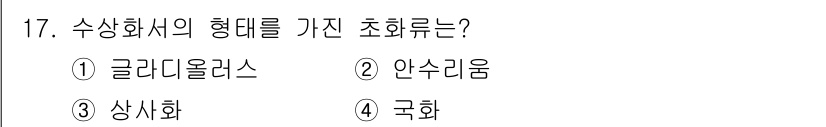 화훼장식기사 2018년 17번 - . 글라데올러스

글라데올러스는 수상화의 형태를 가진 조화로, 여러 개의... 에 관한 핵심 기출문제