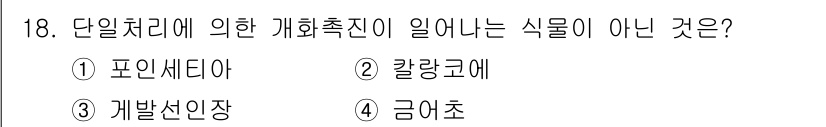 화훼장식기사 2018년 18번 - . 금어초

금어초는 단일처리와 관련된 개화촉진 조건에서 일반적으로 사용... 에 관한 핵심 기출문제