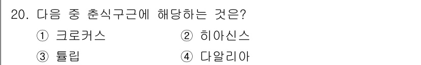 화훼장식기사 2018년 20번 - 정답은 4번 다알리아입니다. 다알리아는 화훼장식 분야에서 특히 장식용 식... 에 관한 핵심 기출문제