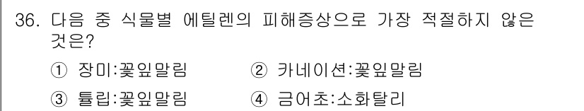 화훼장식기사 2018년 36번 - .  
장미는 꽃물말림의 대표적인 피해 증상으로, 잎과 꽃의 변형 및 성... 에 관한 핵심 기출문제