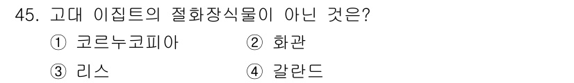 화훼장식기사 2018년 45번 - . 고대 이집트의 절화장식물로 알려진 식물에는 화관, 리스, 갈란드가 포... 에 관한 핵심 기출문제