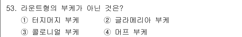 화훼장식기사 2018년 53번 - 라운드형의 부케는 일반적으로 둥글고 균형 잡힌 형태로 구성됩니다. 제공된... 에 관한 핵심 기출문제