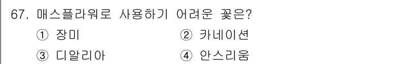 화훼장식기사 2018년 67번 - 정답은 4. 안수리움입니다. 안수리움은 수분을 많이 필요로 하고, 구조적... 에 관한 핵심 기출문제