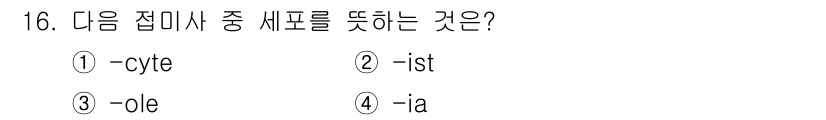 의공산업기사 2015년 16번 - . **-cyte**는 세포를 의미하는 접미사로, 생물학 및 의학 분야에... 에 관한 핵심 기출문제